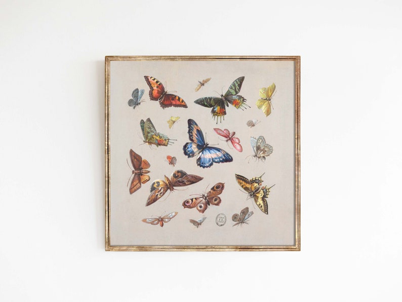 de la ménagerie des papillons dillustration à laquarelle vintage colorée dinsecte boho formats dimpression 8x8 10x10 carré image 2