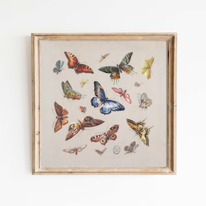 Butterfly Menagerie | Vintage watercolor illustration | Boho insect colorful | print sizes 8x8 10x10 square