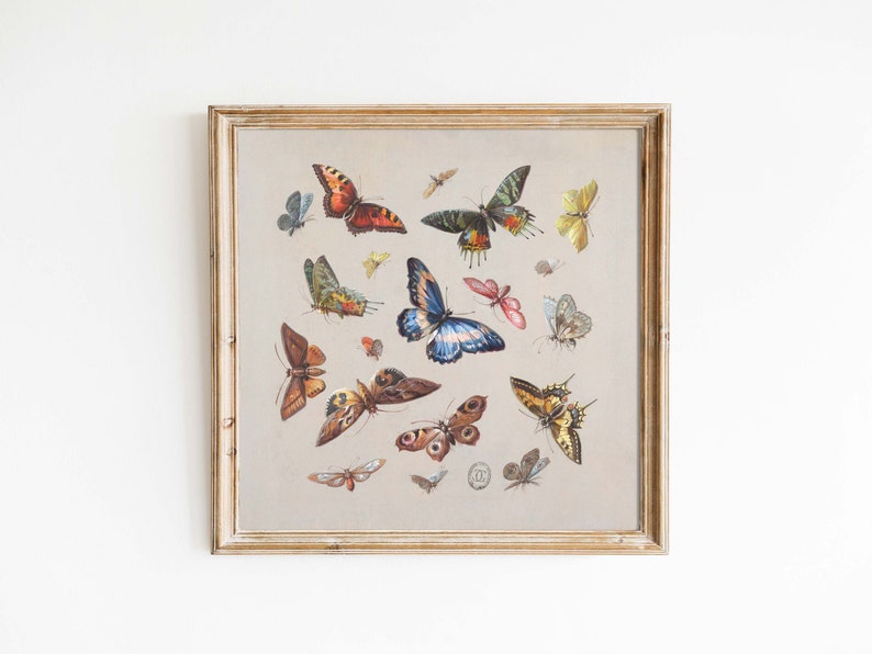 de la ménagerie des papillons dillustration à laquarelle vintage colorée dinsecte boho formats dimpression 8x8 10x10 carré image 1