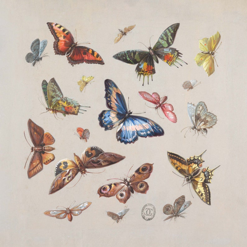 de la ménagerie des papillons dillustration à laquarelle vintage colorée dinsecte boho formats dimpression 8x8 10x10 carré image 4