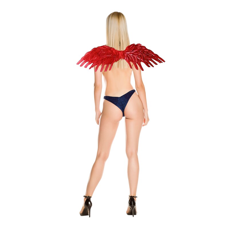 Adult Women's Feather Wings Red main image 0