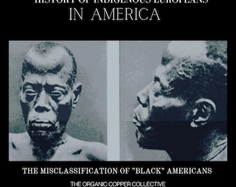 Indigenous Europeans in America