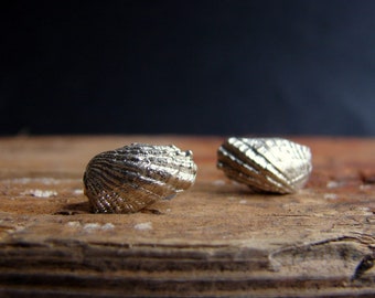 Mermaid stud earrings, angel sea shell earrings, nautical jewelry