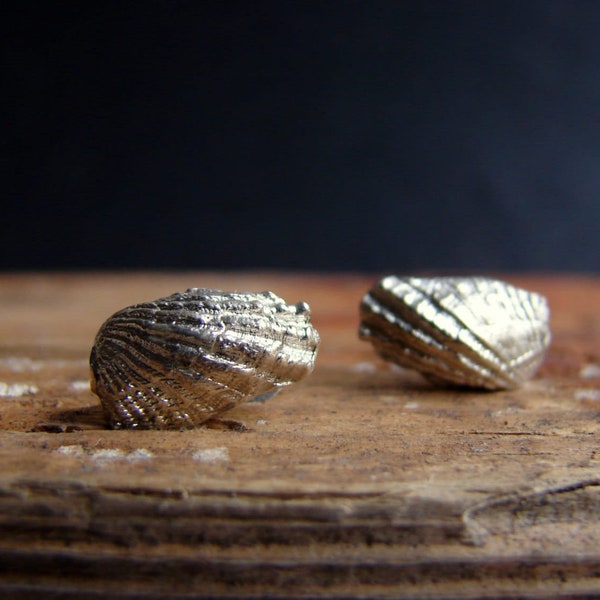 Mermaid stud earrings, angel sea shell earrings, nautical jewelry