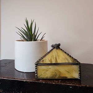 May include: A triangular glass trinket box with a metal frame and a yellow-tinted glass interior. The box has a small metal ornament on top. The box is sitting on a dark wooden surface next to a potted succulent plant.