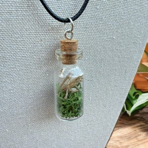 May include: A clear glass vial pendant necklace with a cork stopper, filled with green moss and small, dried twigs. The pendant hangs from a black cord necklace with a silver-tone metal clasp. The necklace is displayed on a neutral-colored fabric.
