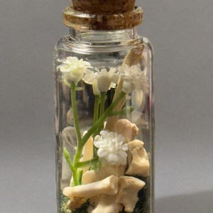 Viles of Fox Bones-Assorted Small Bones-Toe Bones-Rib Bones-Oddities and Curiosities-Ethically Sourced Fox Bones-Macabre-Gifts-Weird