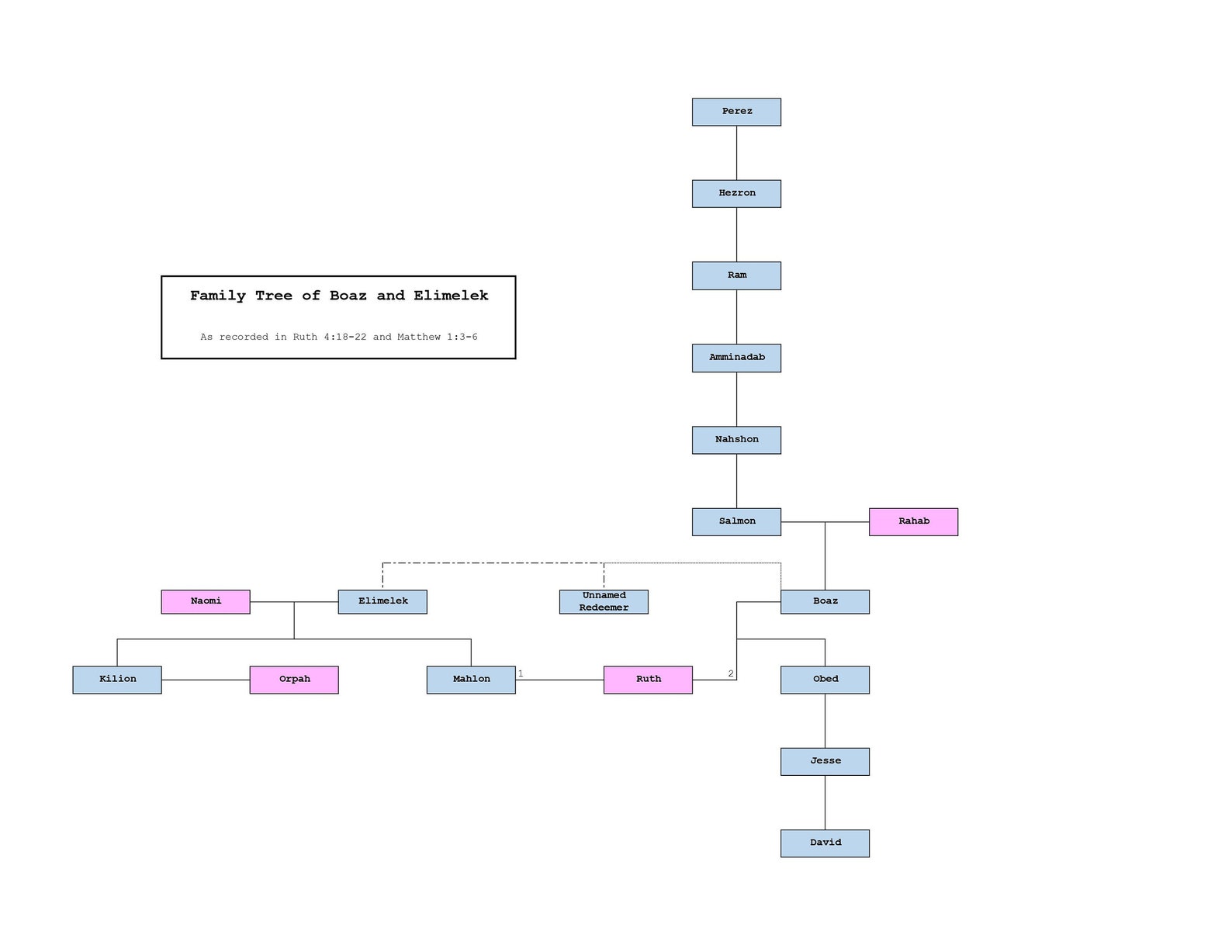 Ruth Family Tree - Etsy
