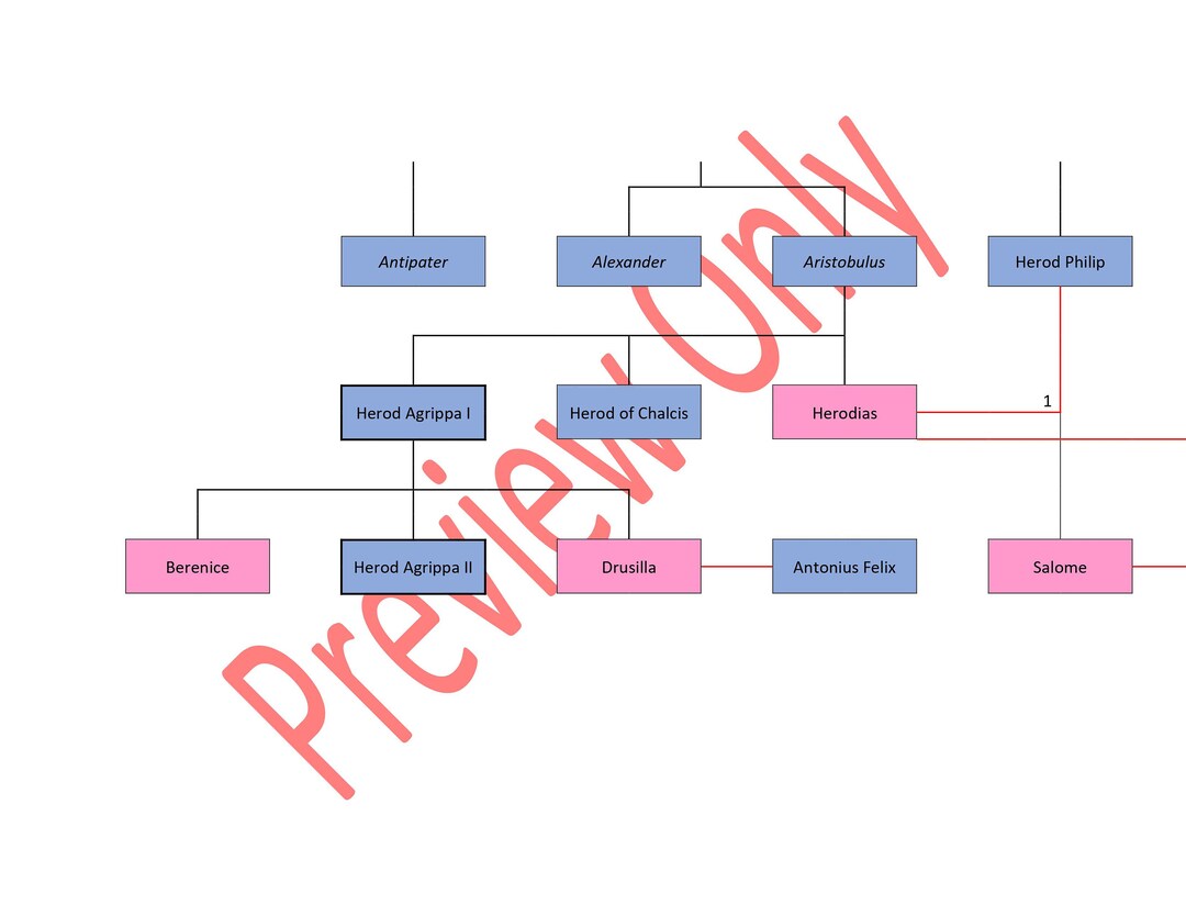 Herodian Family Tree - Etsy