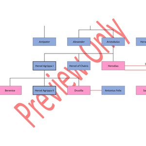 Herodian Family Tree