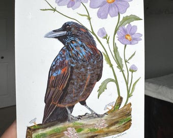 カラス科の動物のアートプリント：カラス、ワタリガラス、カササギ