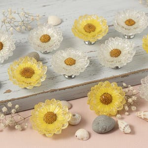 Könnte beinhalten: Schrankknöpfe in Form von Gänseblümchen aus klarem und gelbem Glas mit silberfarbenen Metallbasen. Die Knöpfe haben ein strukturiertes, florales Design und eine goldbraune Mitte. Dekorative Elemente sind kleine Steine, Muscheln und Trockenblumen.