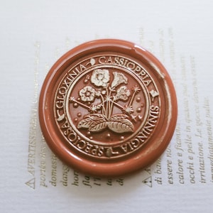 Cassiopeia Wax Seal Stamp Kit, constellation wax seal kit, envelope seal stamp, invitation seal stamp