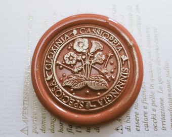 Cassiopeia Wax Seal Stamp Kit, constellation wax seal kit, envelope seal stamp, invitation seal stamp