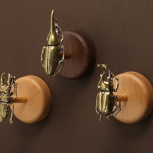 May include: Three decorative wall hooks featuring brass beetle designs mounted on wooden discs. The beetles are in various poses, with detailed wings and antennae. The wooden discs are attached to a brown wall.