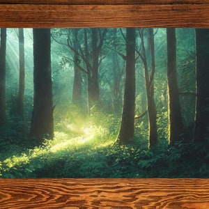 Puede incluir: Un rayo de sol brilla a través de los árboles en un exuberante bosque verde. La luz crea un camino a través del denso follaje, iluminando el suelo del bosque.