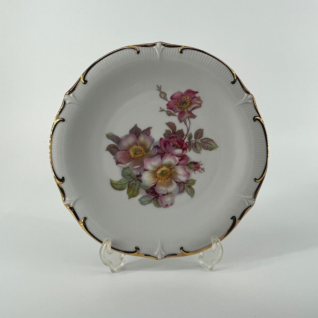 Vintage Bavaria Schumann Arzberg Germany Wild Rose Flower Plate With ...