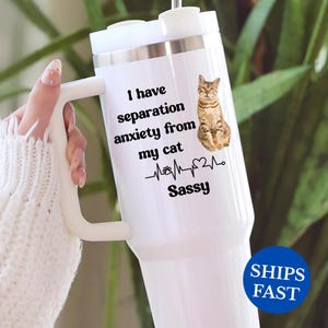 Personalized Cat Tumbler 40oz with Handle, Custom Pet Photo Travel Mug, Funny Cat Mom Separation Gift, Cat Lover Tumbler, Crazy Cat Lady Mug