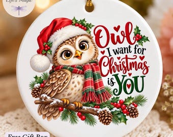 Owl I Want For Christmas Is You Ornament, Cute Owl Christmas Ornament, Santa Hat Ceramic Gift for Bird Lovers, Bird Watcher, Owl Lover Gift