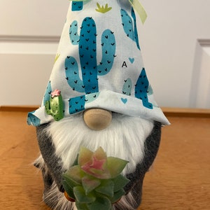Cactus Gnomes