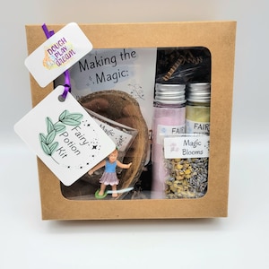 Fizzy Fairy Potion Kit
