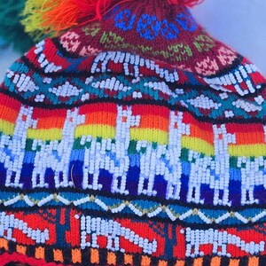 Può includere: Un cappello di lana colorato con un pon pon in cima. Il cappello presenta un motivo di lama e una striscia arcobaleno.