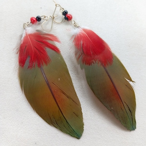 natural parrot guacamayo bright blue feather earrings from the jungle tribal jewelry