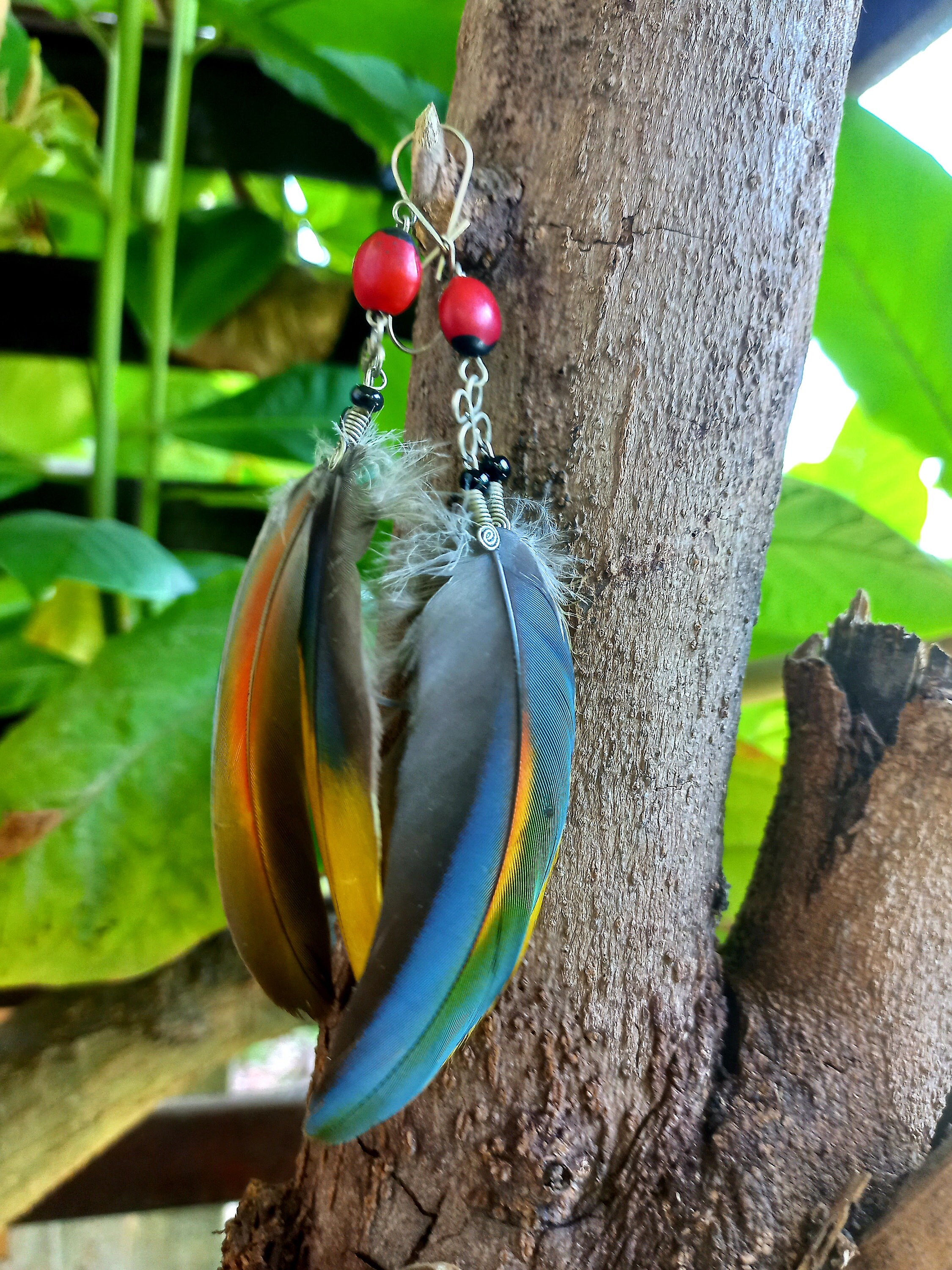 Parrot feather earrings clearance