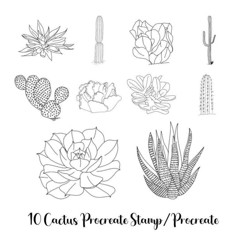 64 Plant Flower Cacti Procreate Stamp Bundle, Floral Procreate Brushes ...