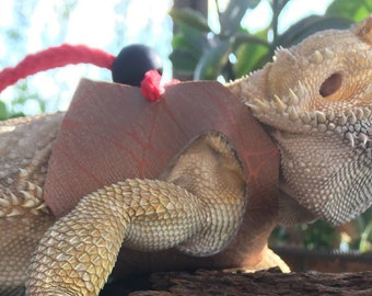 Large Bearded Dragon Harness & Leash, Tan Geo/Web, Choice Cord, Size Lg, PaigesLeashes, Pet Lizard, Rat, Reptile, Washable, Safe,Comfortable