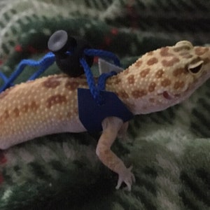 Leopard gecko leash sales