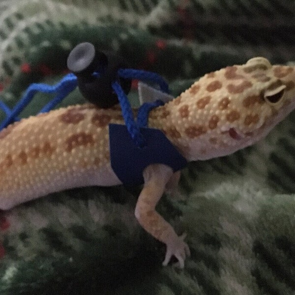 Sm Bearded Dragon Harness & Leash, Blue and Blue, Size Small, PaigesLeashes, Pet Lizard, Leopard Gecko, Washable, Safe, Comfortable