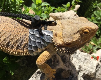 Lg Bearded Dragon Harness & Leash, Gray Scale and Black, PaigesLeashes, Size Large, Pet Lizard, Reptile, Washable, Safe, Comfortable