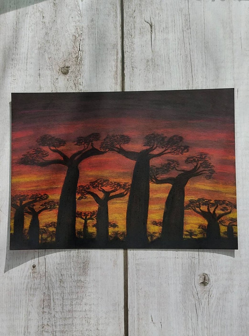 Ultra-Cheap Deals Original Popular standard drawing Baobabs A5