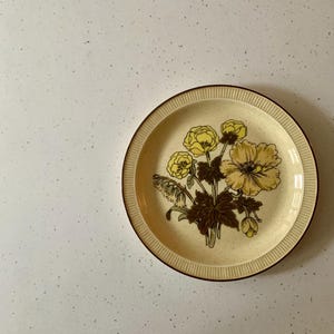 Poole pottery Sherwood design salad plate/side plate 22cm diameter