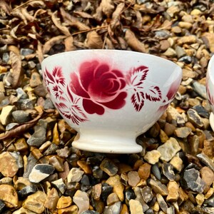 Op de afbeelding: Een witte keramische kom met een rood rozen- en bladerpatroon. De kom heeft een voetstuk en staat op een bedje van kleine steentjes en bladeren. Het bloemmotief is klassiek en vintage.