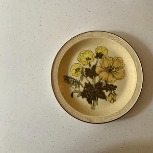 Poole pottery Sherwood design salad plate/side plate 25.5cm diameter
