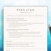 see more listings in the Professional CV Template section