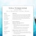 see more listings in the Nurse Resume Template section