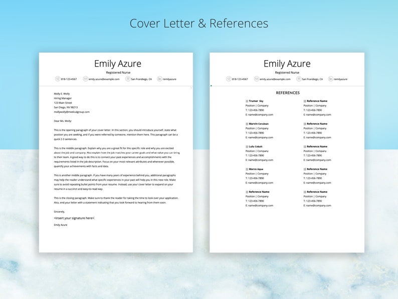 Google Docs Resume Nurse Resume Template CV Template Professional
