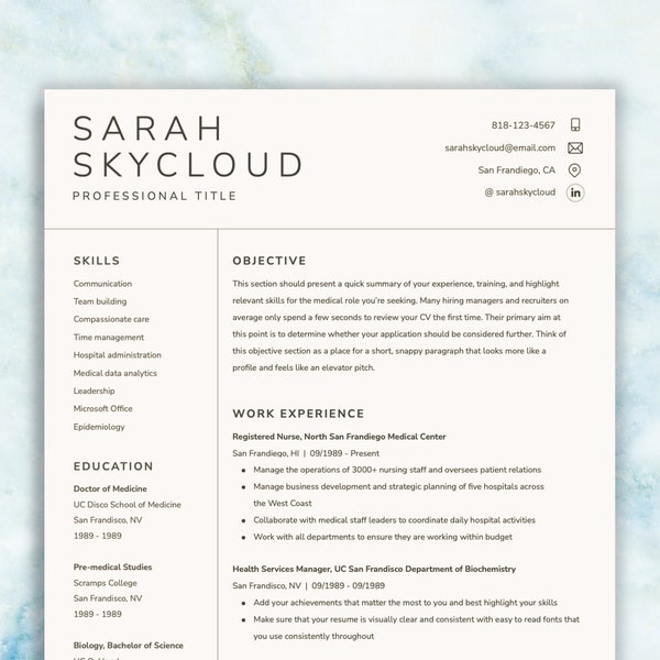 CV Template Professional - Professional Resume Template Digital Download - Google Docs Resume - Curriculum Vitae - Word + Apple Pages