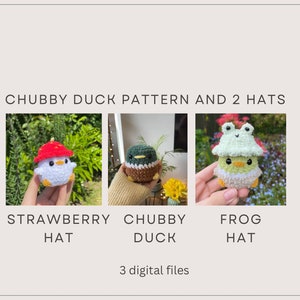 No-sew chubby duck pattern with frog & strawberry hat patterns by Rachel's Crochet Creations | Digital Files