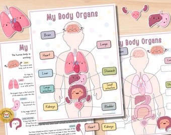 Body Organs Activity Worksheets for kids  | Printable Montessori Materials for Homeschooling and Preschool - PDF