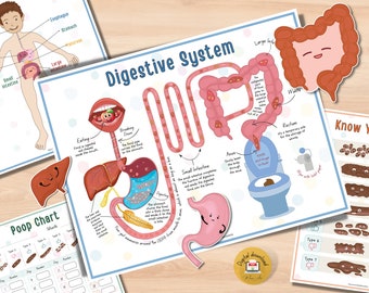 Human Digestive System | Printable Activity for Preschool Homeschool - PDF