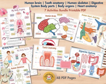 Human Body Anatomy Learning Bundle: Printable Kids Activities (PDF)