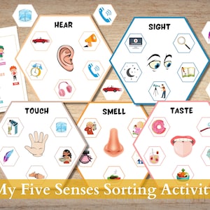 Five Senses Sorting Activity, busy bags for kids, matching activity printable, Toddler Learning Binder, Homeschool Preschool Montessori