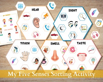 Five Senses Sorting Activity: Montessori Learning Binder (Digital Download)