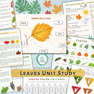 May include: Educational printables for a leaves unit study. The image features colorful diagrams of leaf parts, photosynthesis, and leaf types. Includes the text "LEAVES UNIT STUDY" and "LEAVES COLOR COLLAGES".