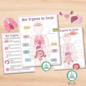 Puede incluir: Pósteres educativos y recortes que representan los órganos del cuerpo humano. Los pósteres, con el texto "Mes Organes du Corps", muestran diagramas etiquetados del cerebro, el corazón, los pulmones, el estómago y los intestinos. Se incluyen ilustraciones de los órganos.