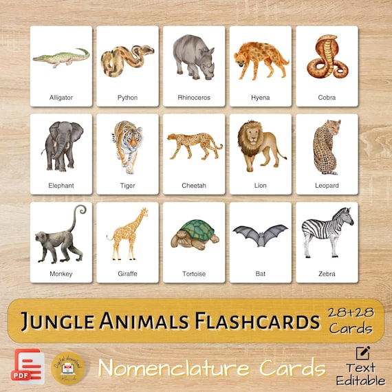 14 FREE Arctic animals Flashcards, PDF